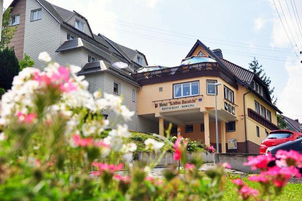 Hotel Schoene Aussicht Steinach  Room photo